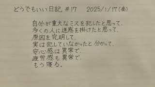 どうでもいい日記#17 2025/01/17 自分が重大なミスを犯したと思って……