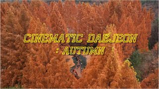 이번 주말, 대전으로 🍁단풍 여행🍂 어떤가요?│Cinematic Daejeon : Autumn │대전 단풍 명소 │4K