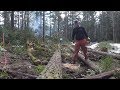 Clearing trees for Septic System Drain Field!