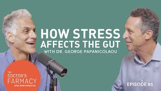 How Stress Affects The Gut