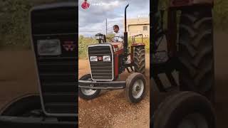 massey 246 dynatrack test ride