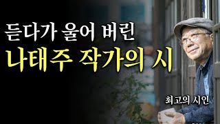 듣다가 울어버린 나태주 작가의 시 #가을 최고의 시인