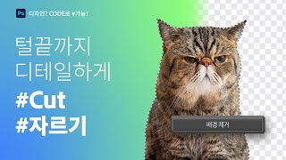 [포토샵으로 #가능] 털끝까지 디테일하게 배경 제거하기 #Cut #자르기