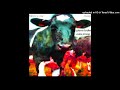 Kurtians - denial
