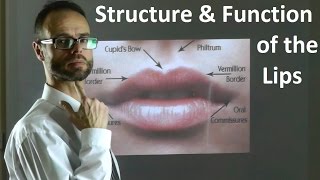 Role of the Structure \u0026 Shape of Upper \u0026 Lower Lips in Facial Attractiveness \u0026 Beauty by Dr Mike Mew