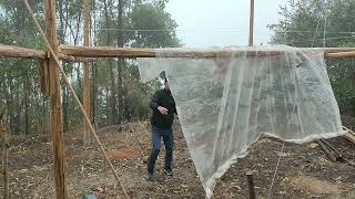 大山深处开荒减肥第108天，天气在下雨又搭了一个临时棚可以锯板