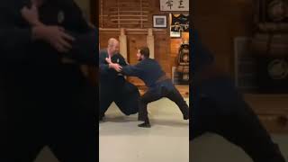 Taijutsu techniques, Shindenfudo Ryu Jutaijutsu recent training at Yasuragi Dojo