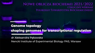 Genome topology - shaping genomes for transcriptional regulation - dr Aleksandra Pękowska