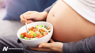 Plant-Based Pregnancy Outcomes and Breast Milk