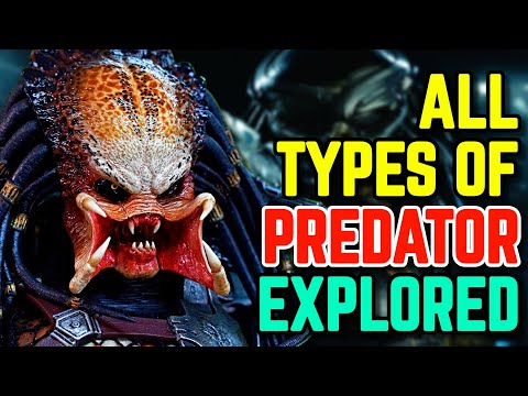 What is a predatory species?