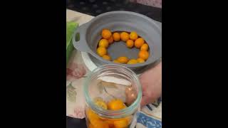 Tangerine (Narangi) Sweet and Sour Pickle