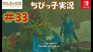 ＃33先導はルージュちゃん【ヴァナボリスに入るまで】ゼルダの伝説ブレスオブザ ワイルド【ちびっ子実況】