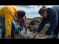 UNH Seaweed Foraging Workshops
