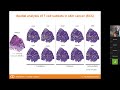 webinar sfc du dr charles fouillade sur la transcriptomique spatiale méthodes et applications