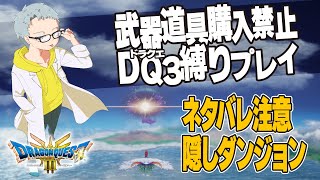 【超ネタバレ注意】Pt.16武器道具購入禁止のドラクエ3いばらの道だぜ縛りプレイ。最後のラスダンをクリアしたい【#ドラゴンクエスト3】