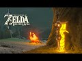 NEW! Arena of Terror - Zelda Breath of the Wild