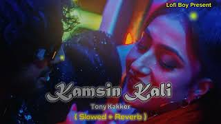 Kamsin Kali - (Slowed + Reverb) | Neha Kakkar | Tony Kakkar | Dhanashree | @THELOFIKING1154