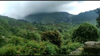 Dharmshala in rainy season #himachal  #dharamshala #rain