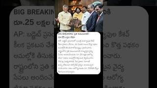 AP Budget 2025 Updates | ప్రతి కుటుంబానికి రూ 25 లక్షల భీమా #deputycmpawankalyan #cmchandrababu #ap