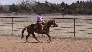 Benefiting From The Trot