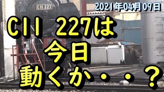 C11 227は　今日　動くか・・？