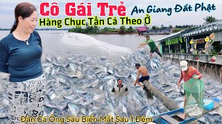 Kỳ lạ đàn cá 100 tấn Ông Sáu biến mất sau 1 đêm Bất ngờ CÔ GÁI TRẺ trời ban đàn cá hàng chục tấn