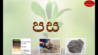 කෘෂි හා ආහාර තාක්ෂණය, 10 වසර, 3පාඩම, 1කොටස