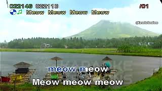 (Karaoke) Meow meow meow meow 😿😿😿😿