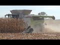 claas lexion 8600 combine harvesting corn with 16 row corn head