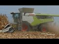 claas lexion 8600 combine harvesting corn with 16 row corn head