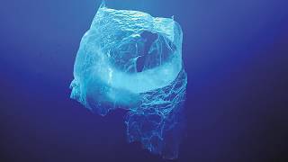 Plastic pollution and the planet