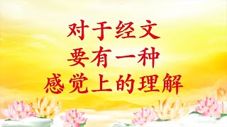 卢台长【节目录音】对于经文要有一种感觉上的理解｜在人间多学佛法，到了天上才能听大菩萨讲法