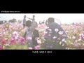 samyang v af 24mm 35mm 75mm t1.9 fe vlog filmed by sso.min