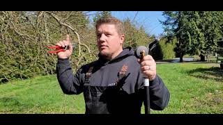 How to prune an APPLE tree, 150 years old, how to prune apple trees