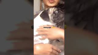 පාතාලෙ ඇලා.. 😍🥰#shortvideo#viralvideo#puglife#subscribe