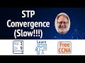 Why is Spanning Tree Protocol Convergence So Slow? (Answers Inside)