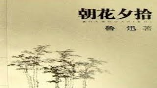 《朝花夕拾》第7集 从百草园到三味书屋