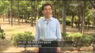 꿈을 춤추게 하라 [고도원, 아침편지문화재단 이사장·작가]