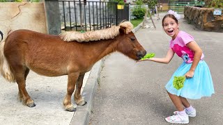 Sofia has fun playing in the zoo and feeding the animals