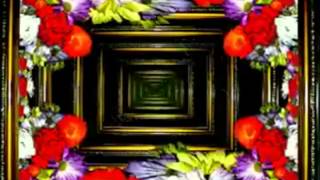 Embryo avi reversed