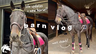 BARN VLOG | Life Updates & New Horse!! | Hailey Liberty