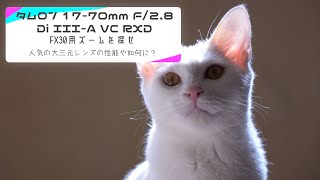 【 タムロン 17-70mm F2.8レビュー 4k作例】FX30で使うレンズを探せ！　今回はタムロンの人気のF2.8ズームレンズをレビューします。