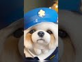 3dアニメ風になるアプリで犬たちの画像加工してみた【voila】image processing app. dogs！ shorts