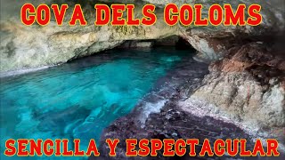 Espectacular cueva marina en Mallorca para todos los públicos! Cova dels Coloms