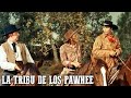 La tribu de los pawnee | Películas del Oeste | Español | Película clásica de vaqueros