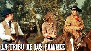 La tribu de los pawnee | Películas del Oeste | Español | Película clásica de vaqueros