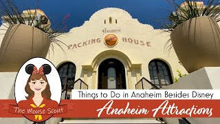 What to do in Anaheim in addition to Disney!
