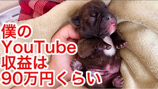 【２万人突破記念】YouTuberの収益を大公開/登録者数2万人のユーチューバーの給料