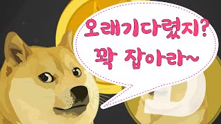 비트코인, 도지코인 새벽장 과연 상승할까? 저점 매수하는방법?