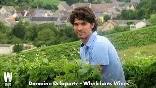 Domaine Delaporte, Sancerre - Whelehans Wines